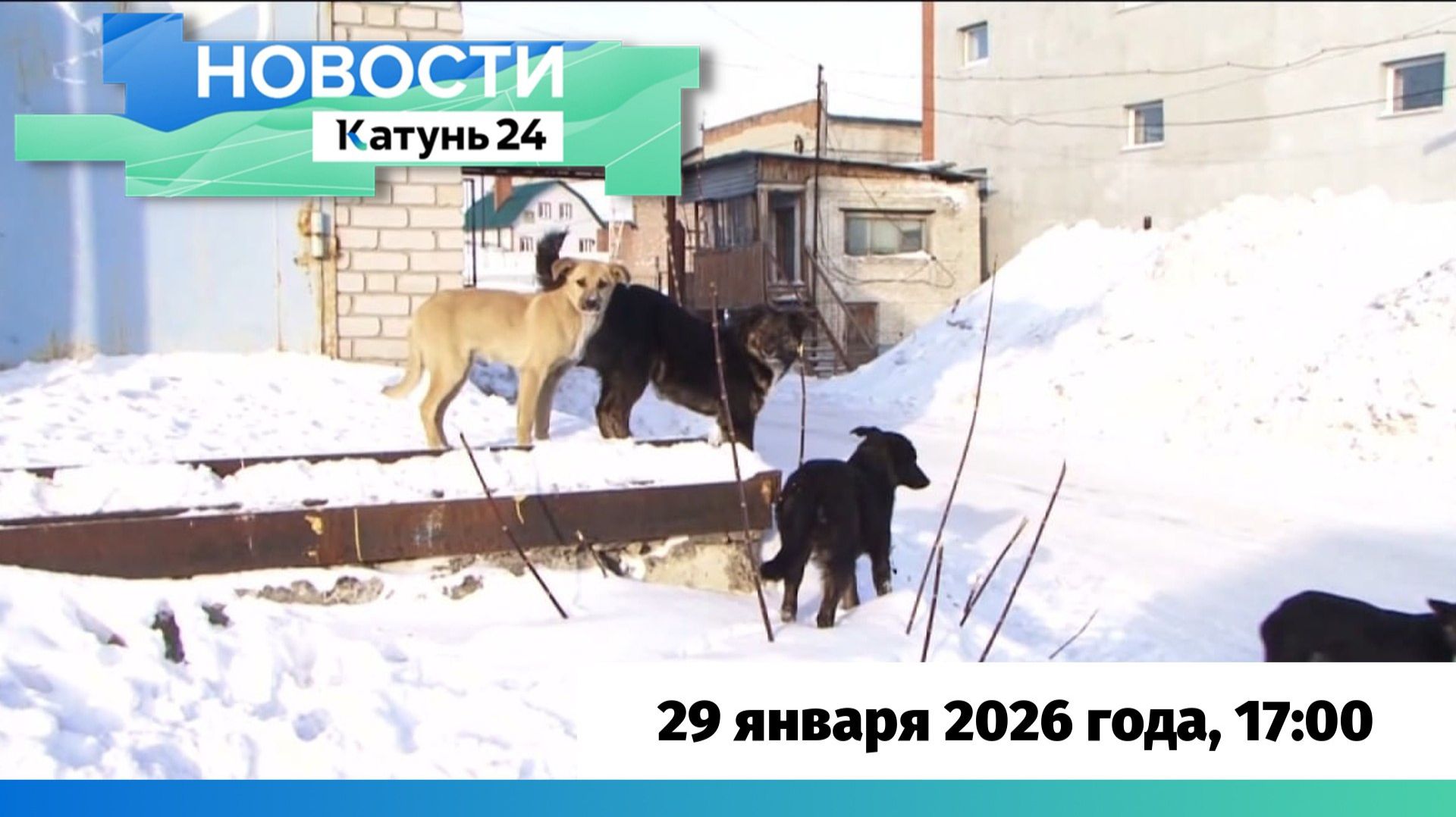 Новости Алтайского края 29 января 2026 года, выпуск в 17:00 смотреть онлайн