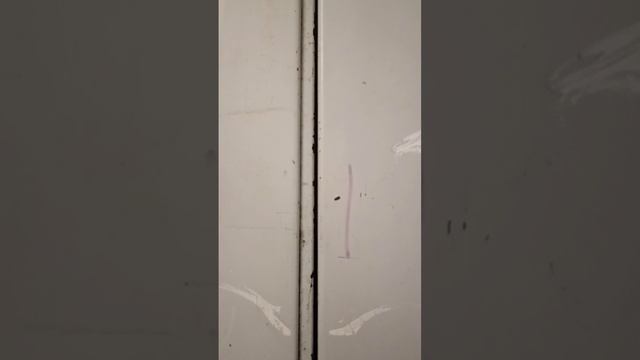 VID_20260129_225550_105