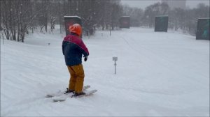 Фанерные лыжи Мерзкие коты