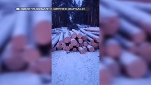 "Будни" (новости, 29.01.26г., Бийское телевидение)