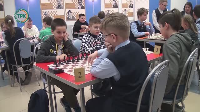 На детской железной дороге открыли шахматную школу смотреть онлайн