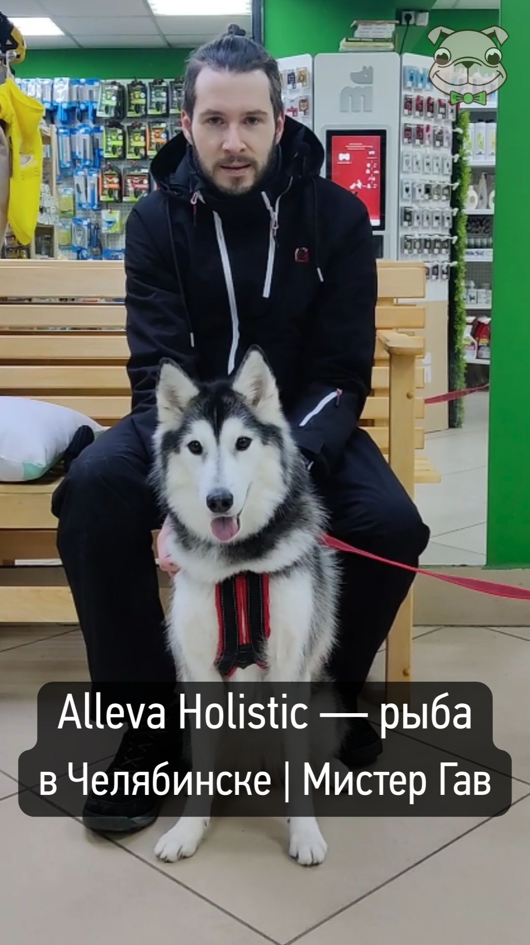 Хаски на Alleva Holistic (рыба): отзыв владельца | Челябинск