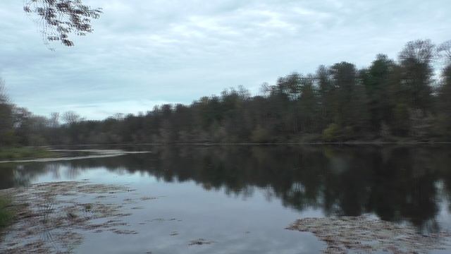 2 Часть Вот Сейчас Нахожусь Около Чёрного Озера От 10 10 2025 Года. смотреть онлайн