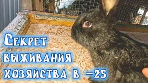 Итоги 2025 года и планы на 2026: что ждёт наш канал!