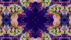 С Днём Рождения! Букеты роз 8 от Киностудии Мудрого Кота Тимофея!