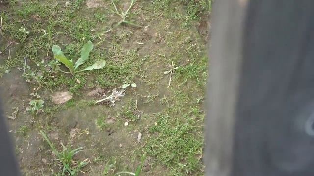 6 соток 10 июля 2021 года. Хроника.