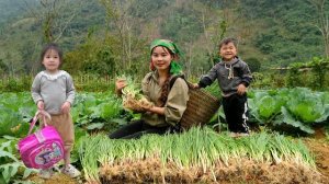 Собираем зеленый лук с нашего огорода для продажи на рынке. Готовим вместе с моей маленькой дочкой