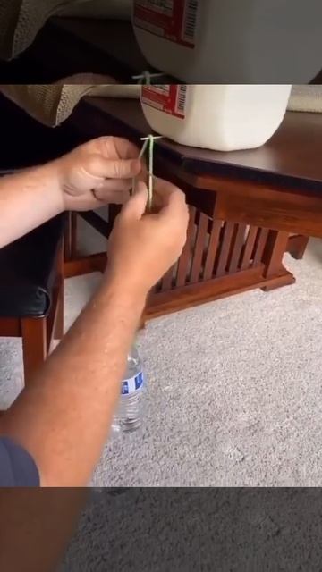 Бутылка на зубочистках смотреть онлайн