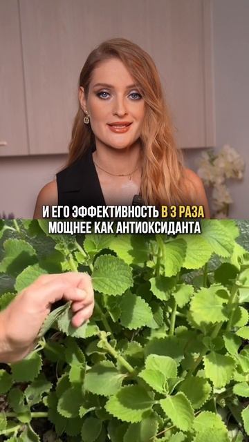 Продукт, который УБИВАЕТ бактерии и грибки смотреть онлайн