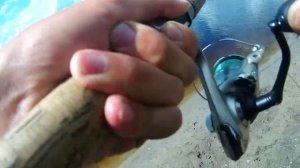 Рыбалка на вертушку.Эта вертушка ловит щуку,окуня,язя.Рыбалка на спиннинг 2024(архивные записи)