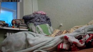 мой кот странный