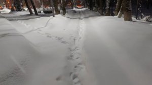 Погодка шепчет, я как всегда на готовке