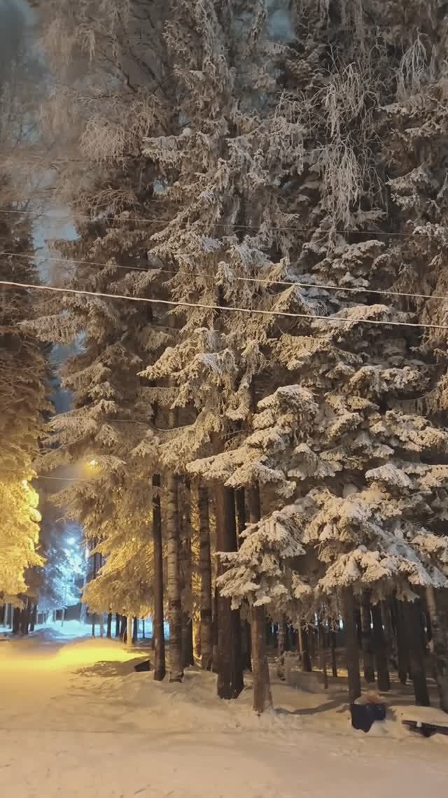 Тишина и хруст снега под ногами: - 39C  Крайний Север