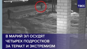 В Марий Эл осудят четырех подростков за теракт и экстремизм