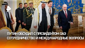 Укрепление отношений и рост товарооборота: Путин провел переговоры с лидером ОАЭ