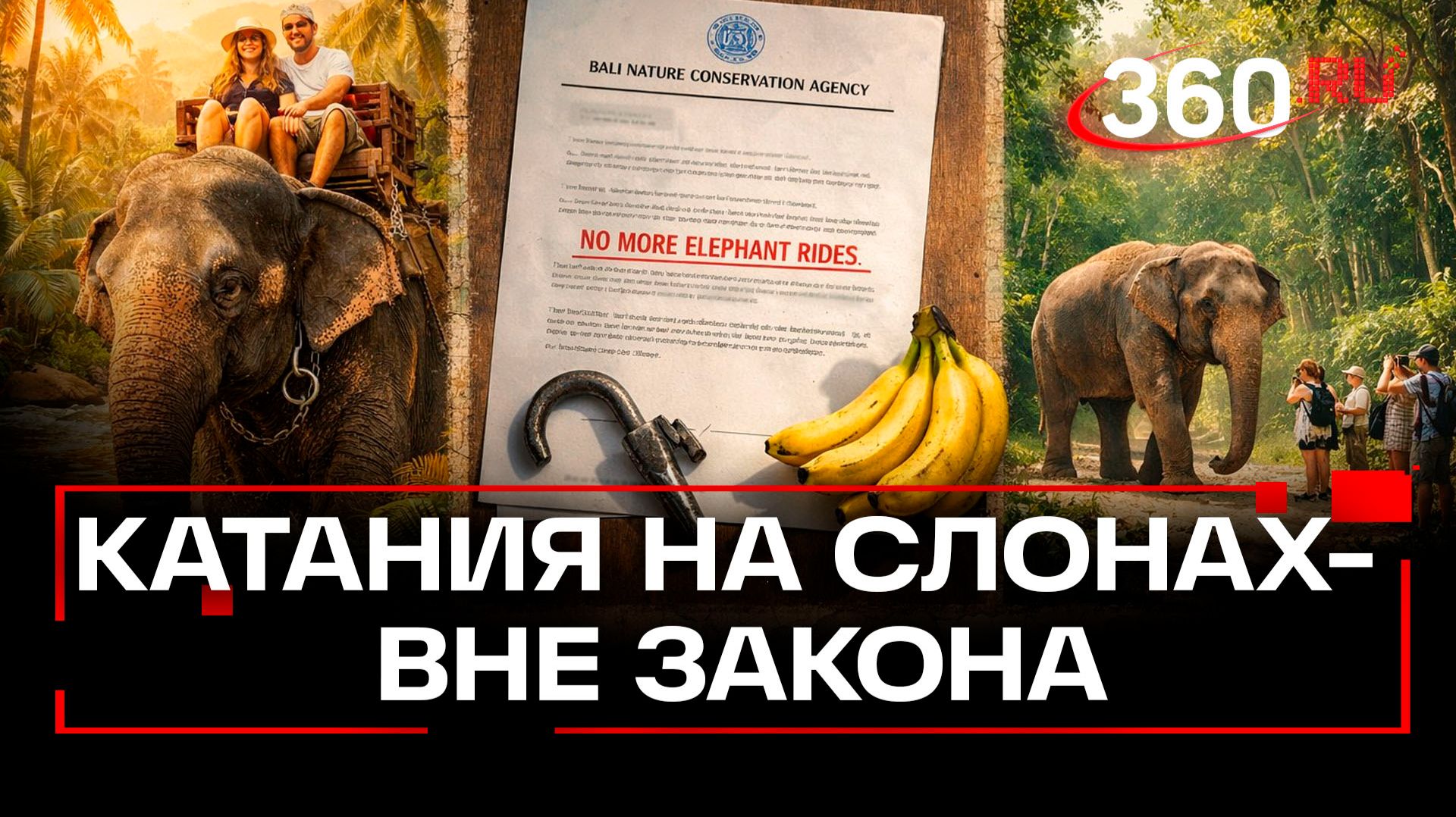 Бали оставил туристов без слонов смотреть онлайн