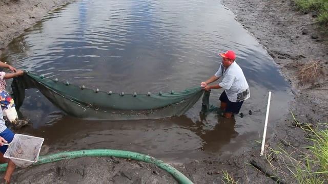 ЛОВЛЯ НЕВОДОМ ЛОВЛЯ НЕВОДОМ