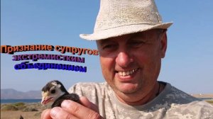 Признание супругов экстремистским объединением