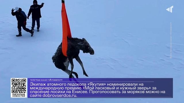 ДАЙДЖЕСТ «СЕВЕРНОГО ГОРОДА»,29.01.2026 смотреть онлайн