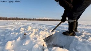 Проверка удочек. 50 день.