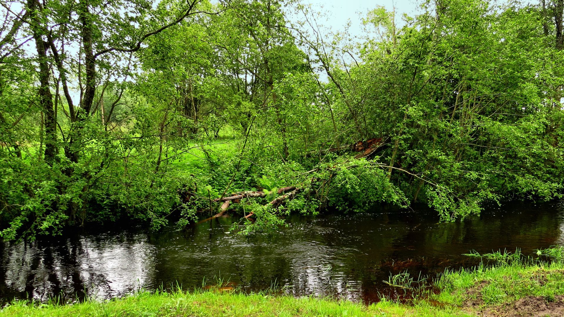 И снова река Турёнка смотреть онлайн