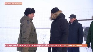 В охотхозяйство Кашарского района приехали полсотни ланей