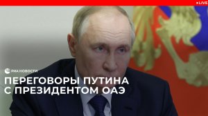 Путин на переговорах с президентом ОАЭ