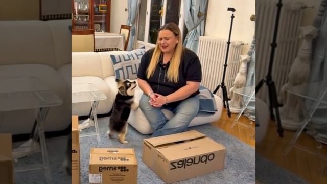 0129 смотреть онлайн