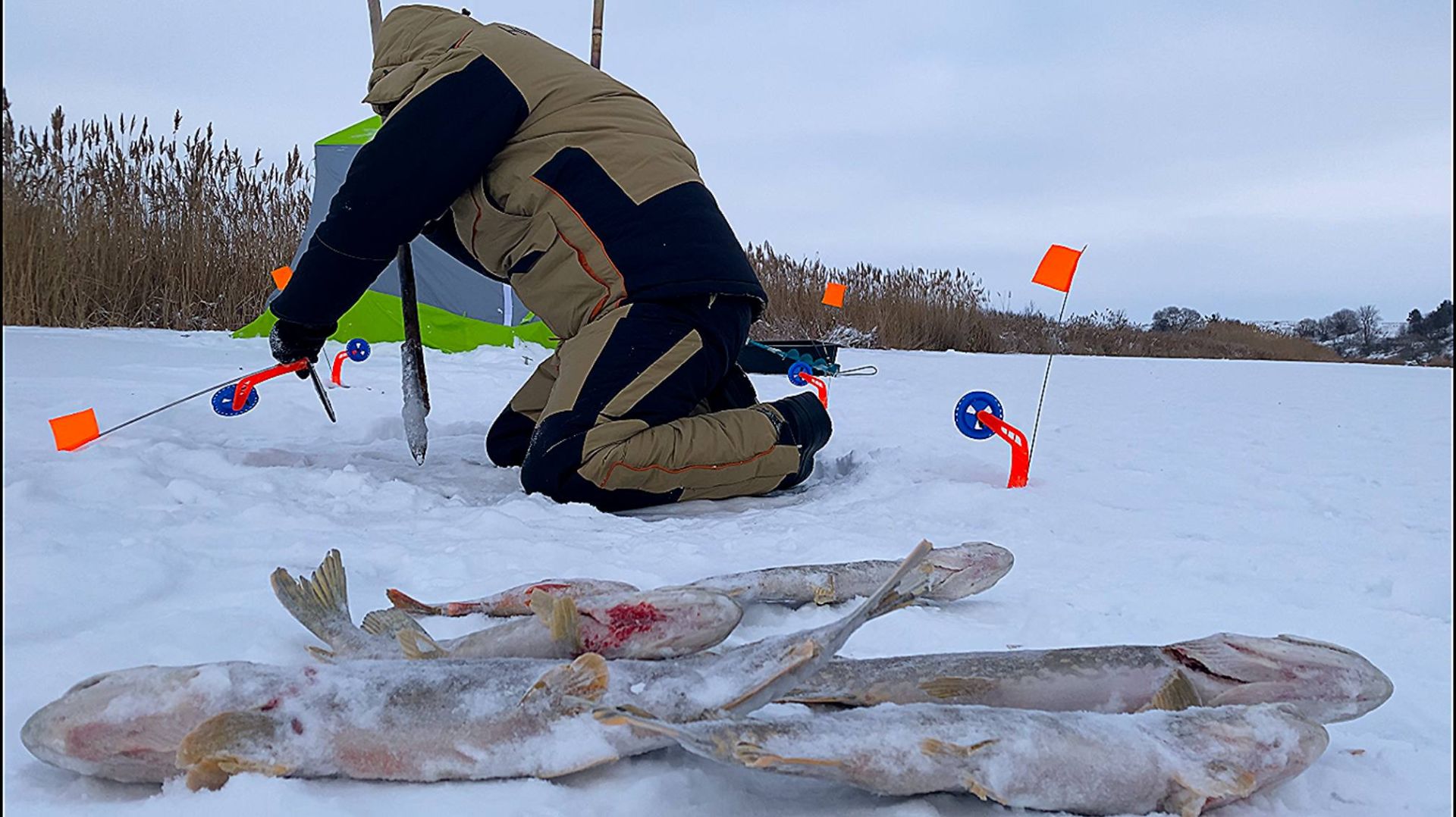 РЫБА СОШЛА С УМА! НЕ УСПЕВАЮ БЕГАТЬ И ДОСТАВАТЬ... Удачная рыбалка с ночёвкой. смотреть онлайн
