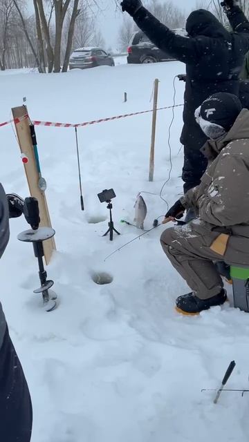 29/01/2026 смотреть онлайн