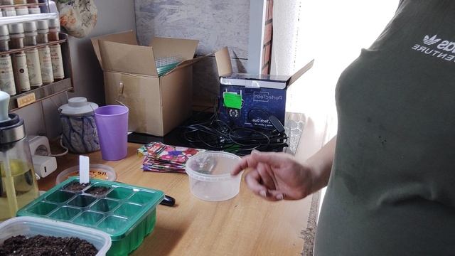 посеяла петунию в новый парничек 28.01.26(1часть) смотреть онлайн