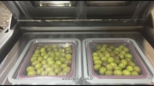 Упаковка оливок в готовый лоток на полуавтоматическом трейсилере VOLVAC W450VG