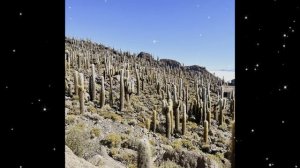 🇧🇴🇧🇴🇧🇴Коллекция фото из Боливии🇧🇴🇧🇴🇧🇴