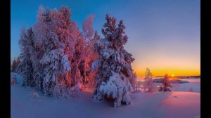 И бережно несут остаток дней своих.3 (Suno Ai)