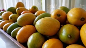 МАНГО В КУЛИНАРИИ