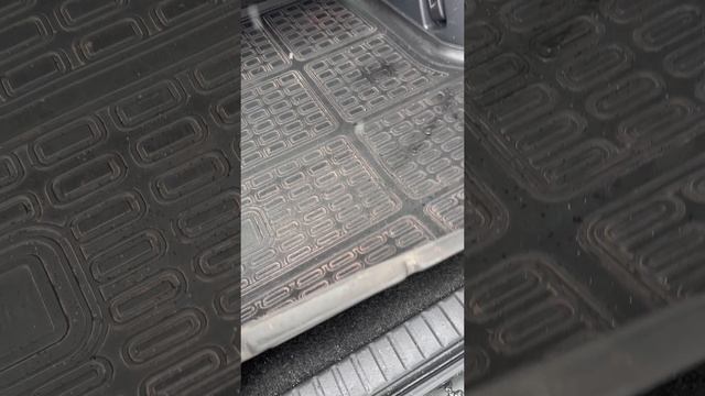 29-01-2026 Rav 4 смотреть онлайн