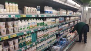 Более 17% молочной продукции в российских магазинах оказались фальсификатом