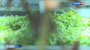 Эфир от 28.01.2026 (21:10)