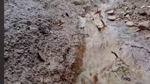 24серия/Жизнь в горной деревне Непала | в непальской бедной, но счастливой семье