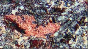 Metriks.Meteorite.Martian_Shergottite.5D_installation.