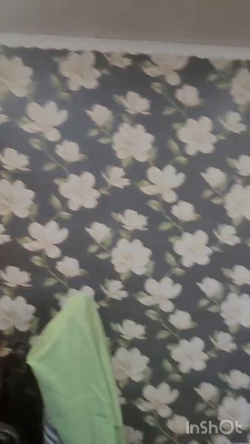 video_2026-01-29_11-20-47 смотреть онлайн