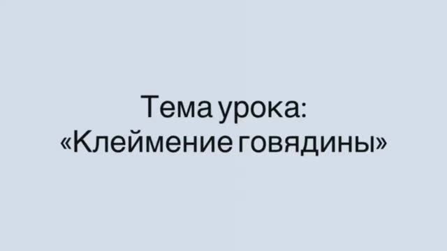 641, МДК 01.03, 03.02.2026 - Продолжение темы «Клеймение говядины смотреть онлайн