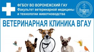 ПО ПРОСЬБЕ КАНАЛА «Роман и Людмила любители пионов» ВГАУ Ветеринарный факультет 🩺🧬