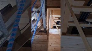 1000047238.mp4 (Собака наблюдает за устройством лестницы на 2 этаж в доме А-фрейм)