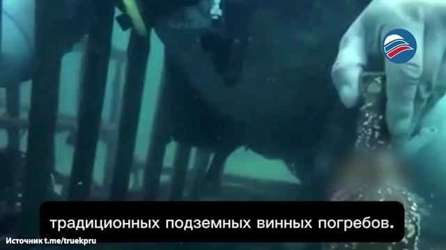 Новый тренд в Чили: вино, выдержанное в морских глубинах смотреть онлайн