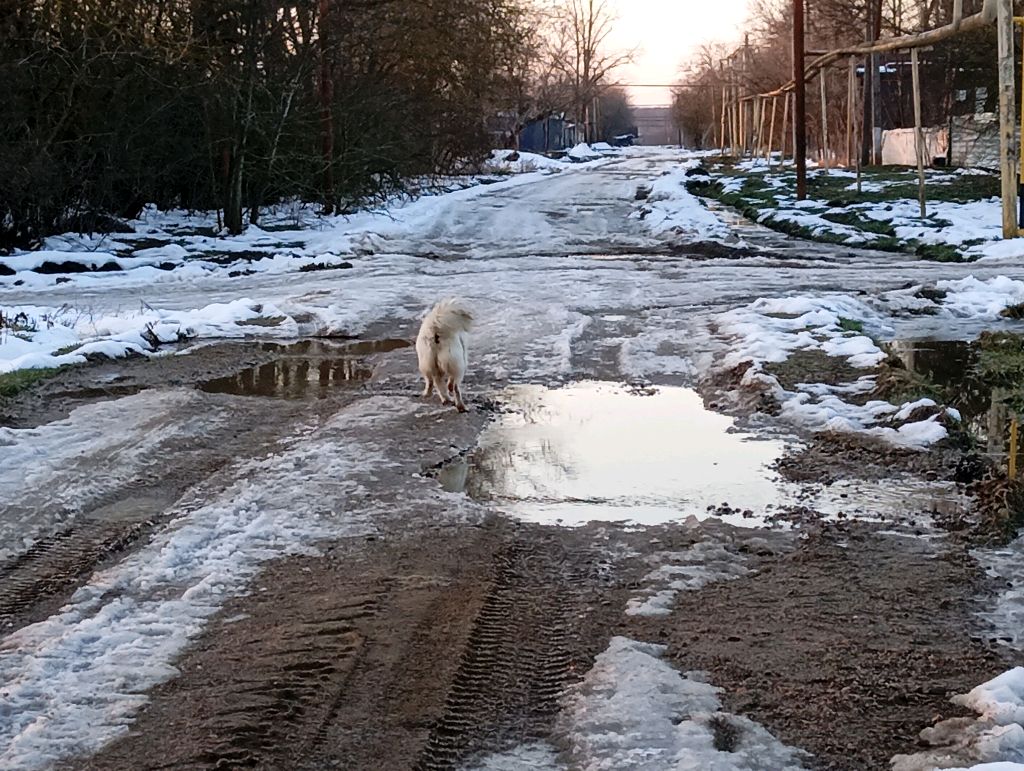 прогулка смотреть онлайн