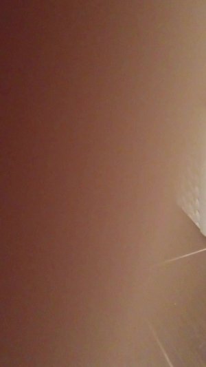 лошади шляйх беседа