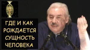 ✅ Н.Левашов: Где и как рождается Сущность (Душа) человека? Ответы на вопросы читателей