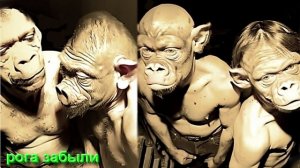 Вопросы для В А Шемшук на его лекциях задать от 29.01.26