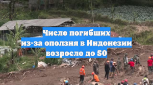 Число погибших из-за оползня в Индонезии возросло до 50